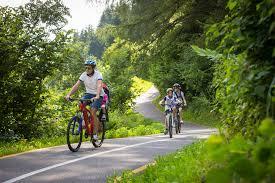 /api/file/public/262312/19244