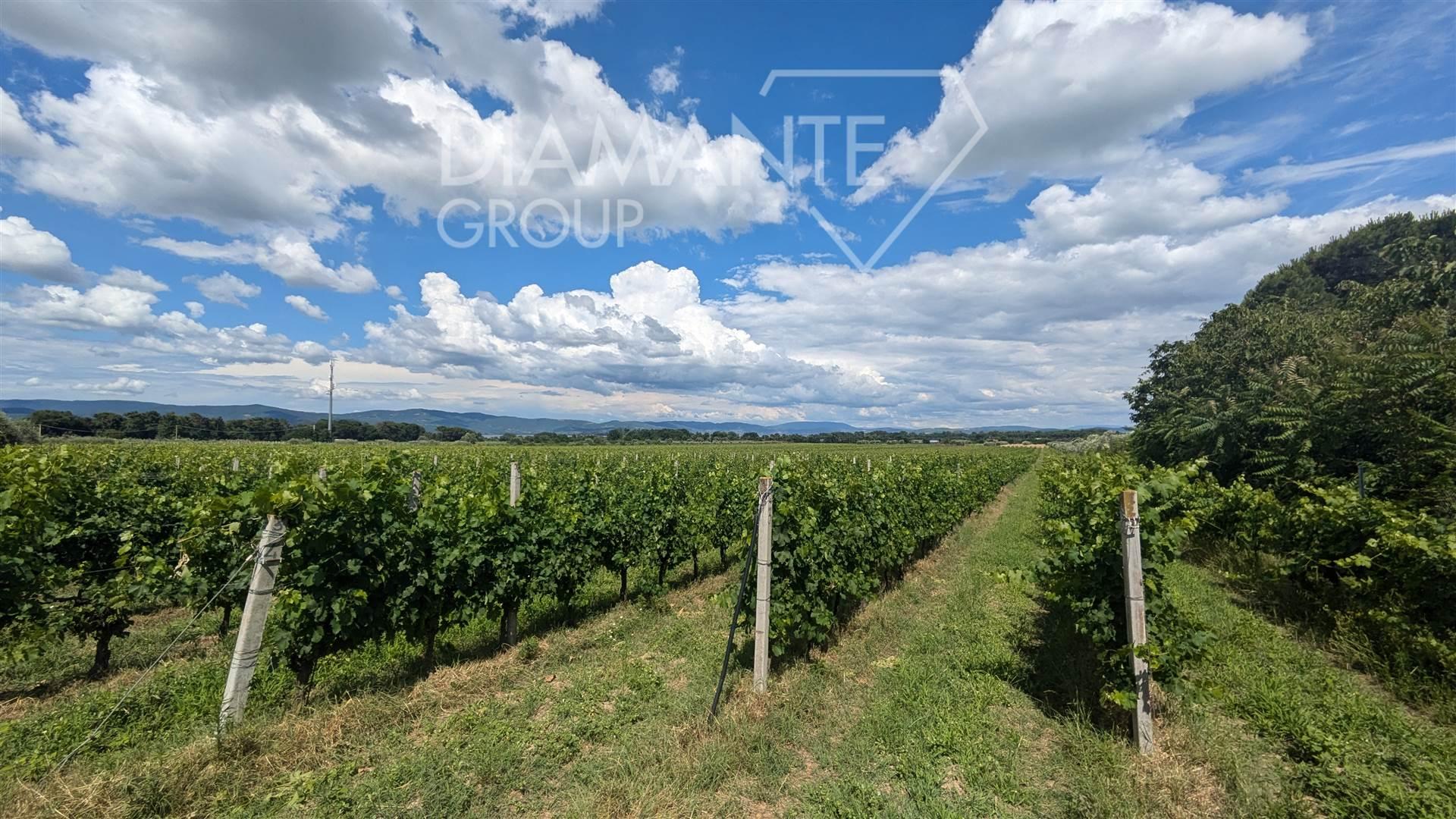 /api/file/public/262316/19261