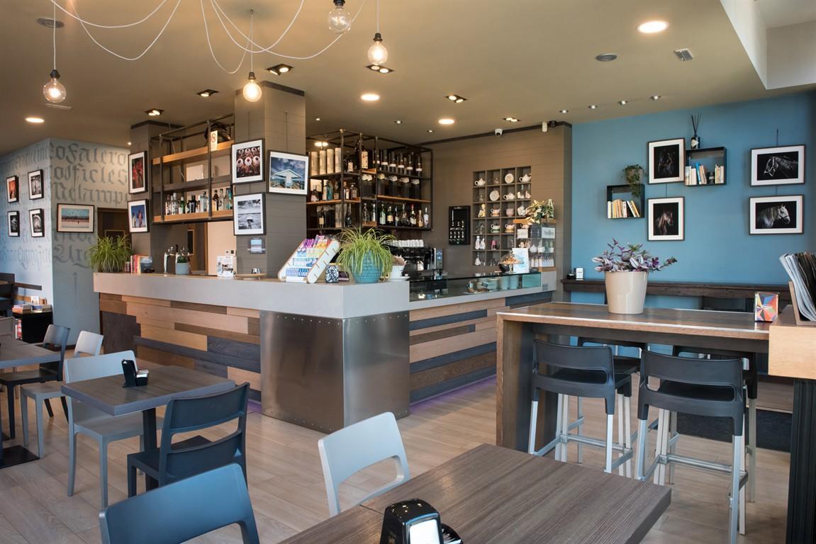 /api/file/public/262452/19805