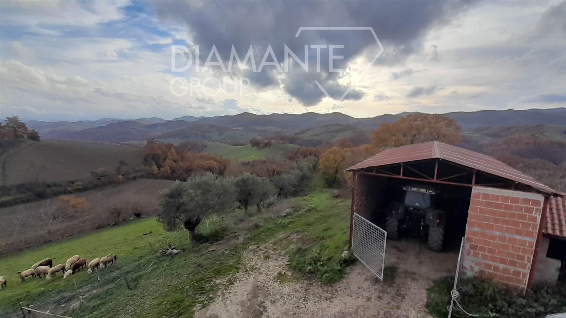 /api/file/public/262462/19828