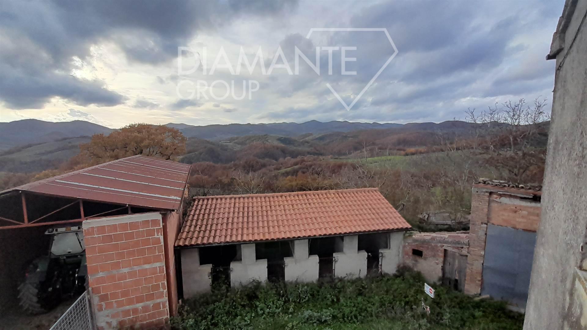 /api/file/public/262462/19829