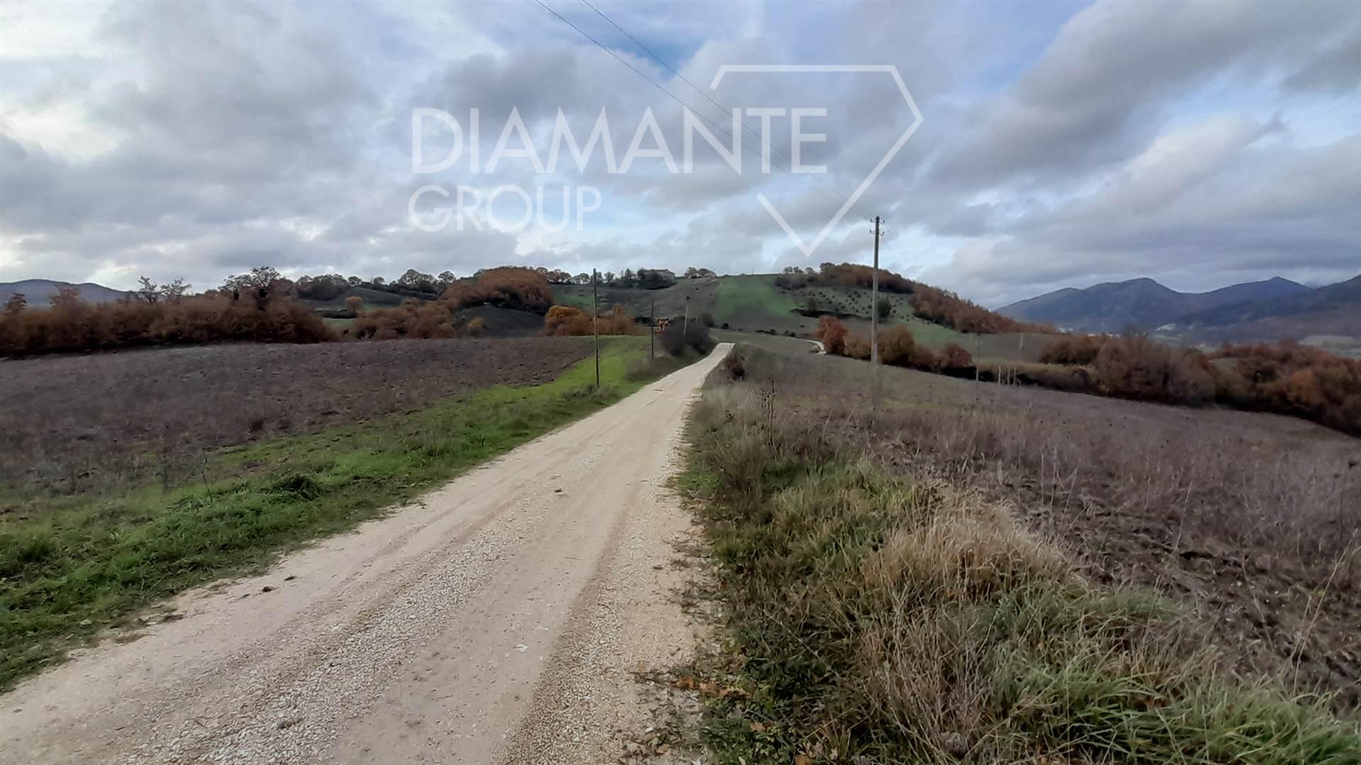 /api/file/public/262462/19830