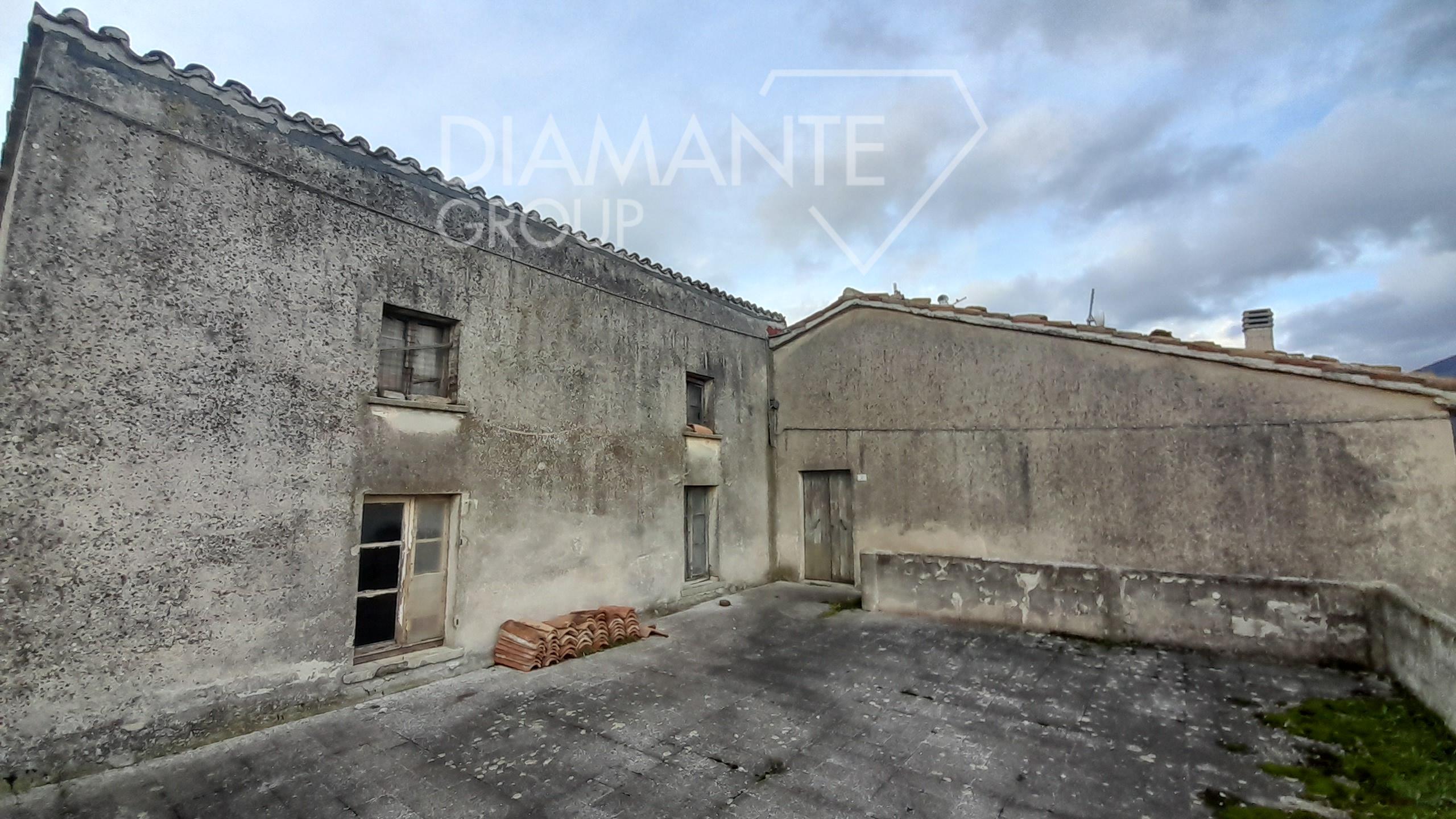 /api/file/public/262462/28482