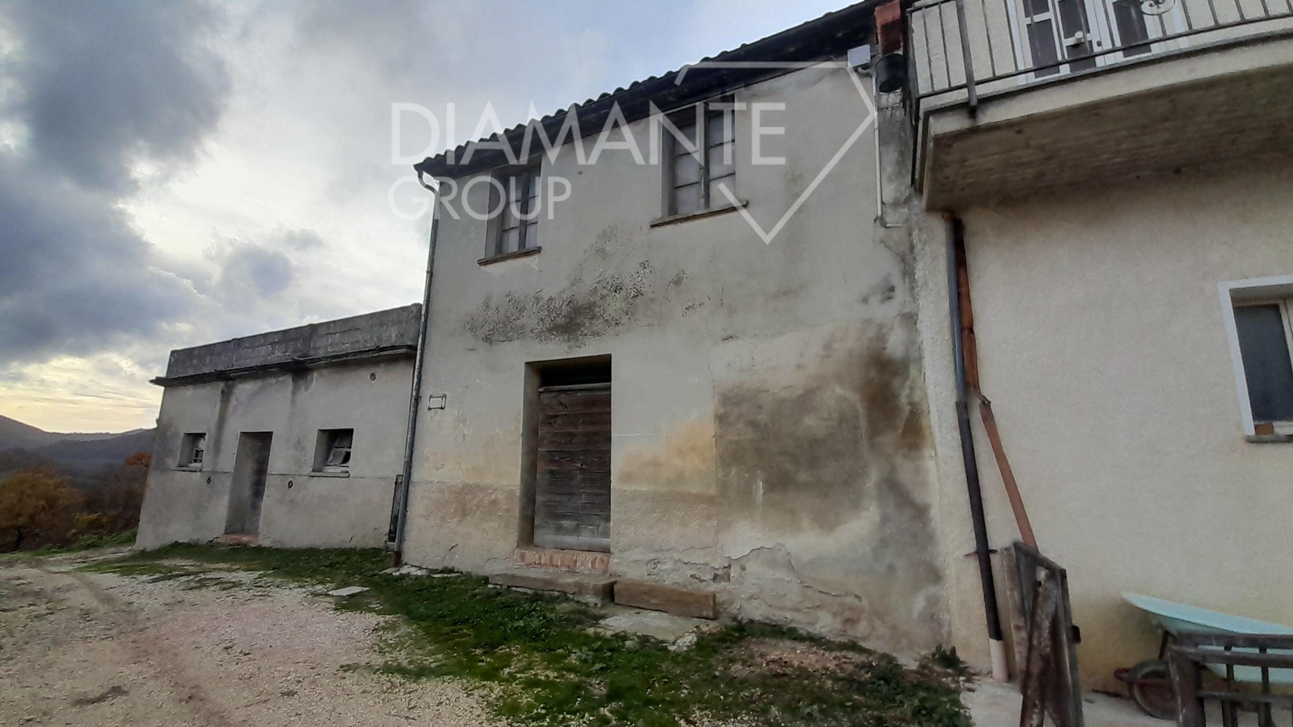 /api/file/public/262462/28483