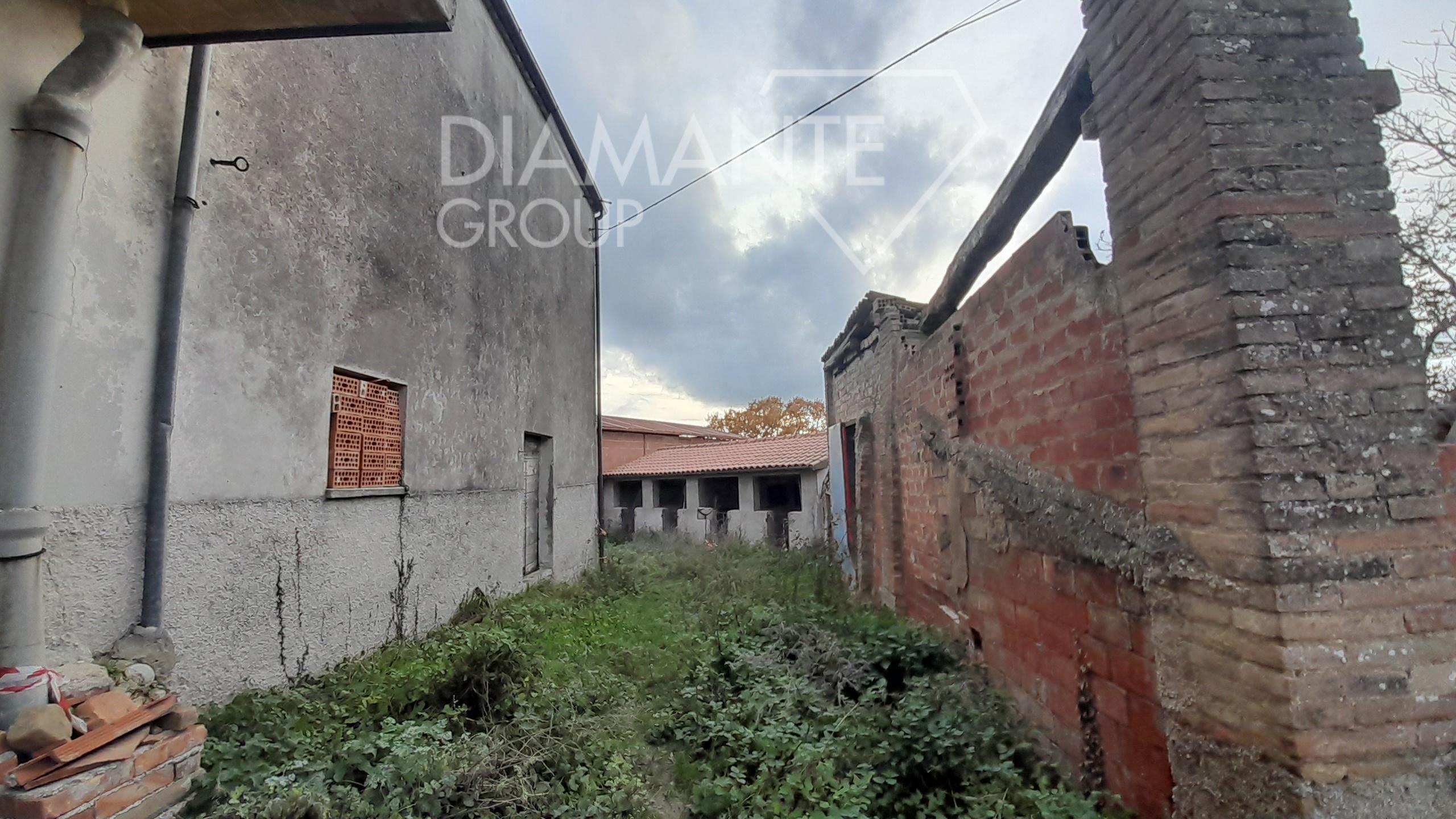 /api/file/public/262462/28484