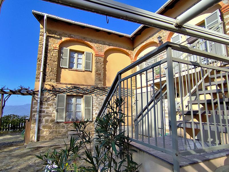 /api/file/public/262469/19852