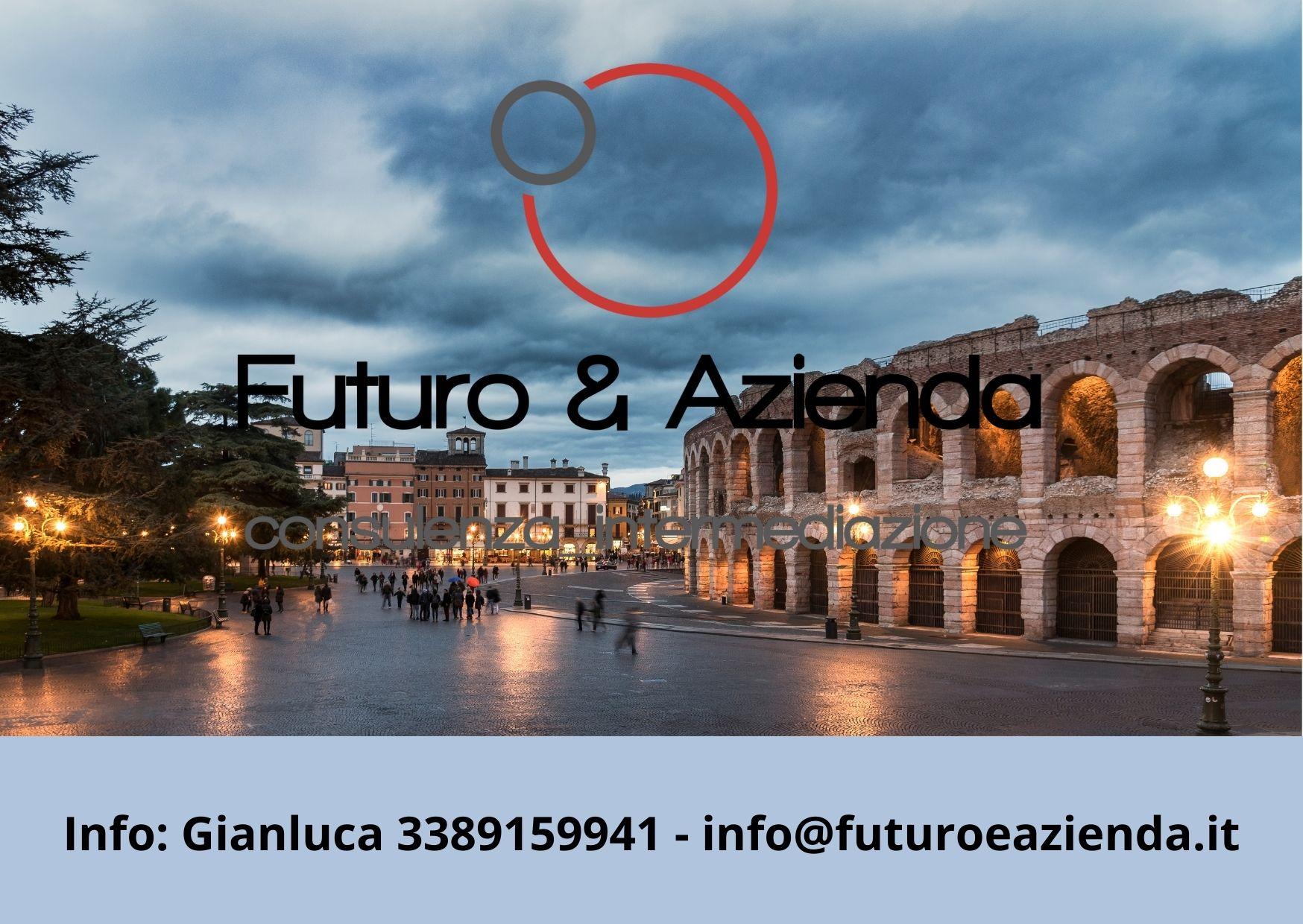 /api/file/public/262508/19980