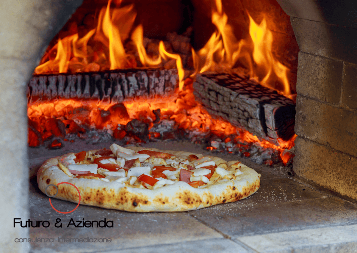 /api/file/public/262508/19987