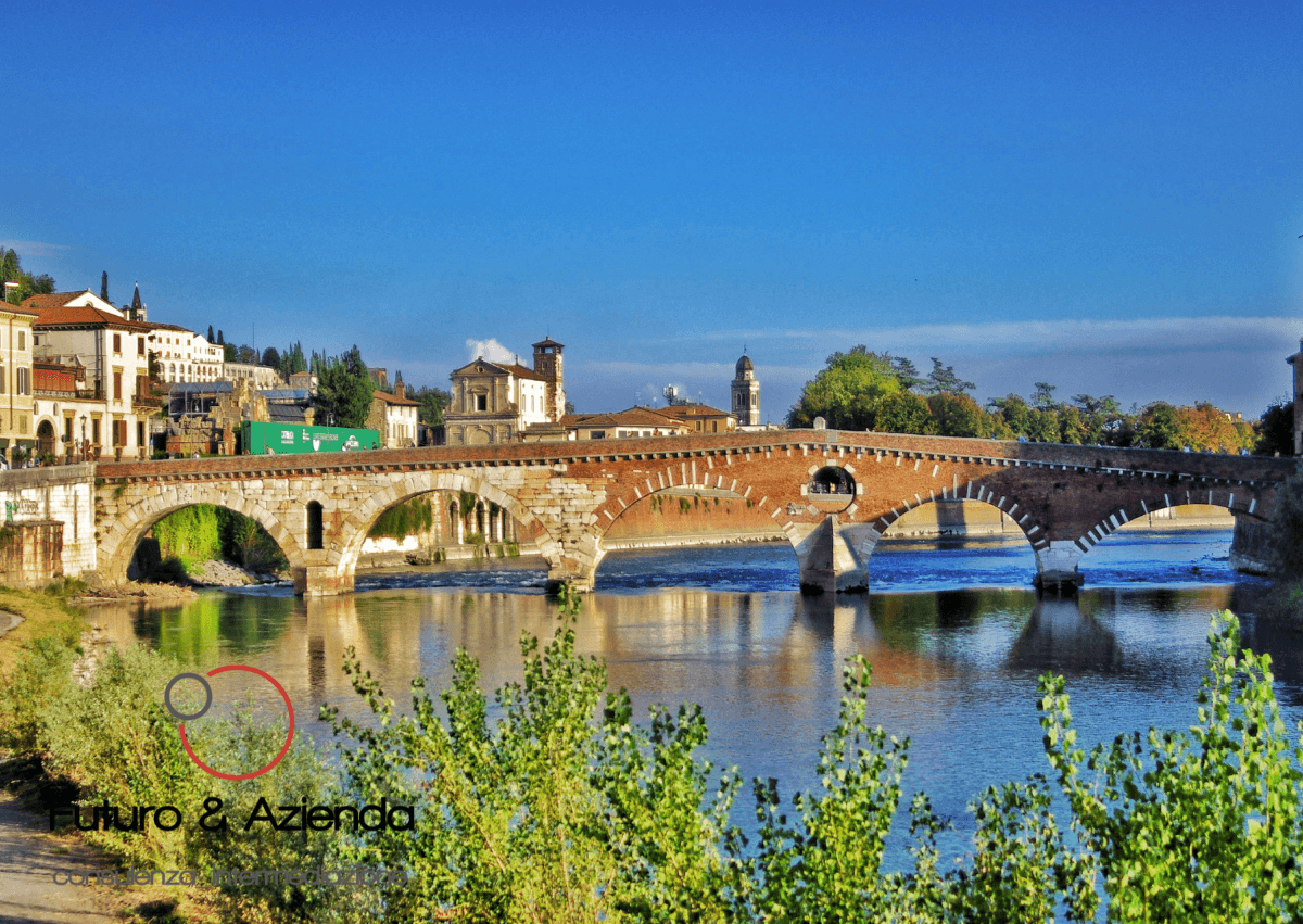 /api/file/public/262508/19988