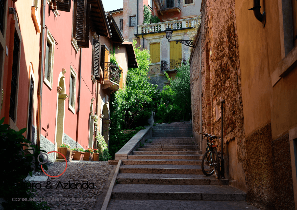 /api/file/public/262508/19990