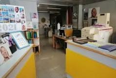 /api/file/public/262599/20217