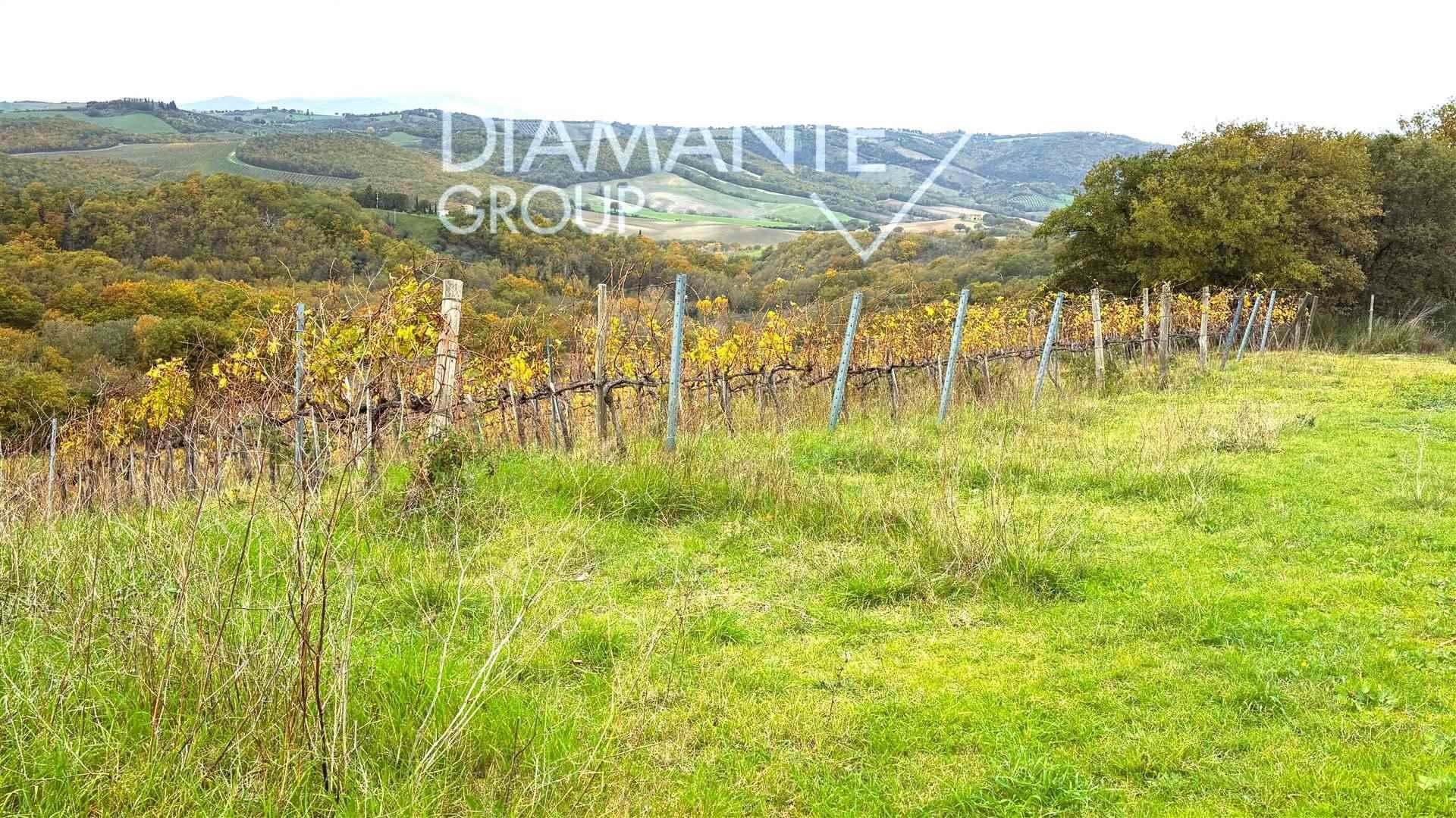 /api/file/public/262607/20253