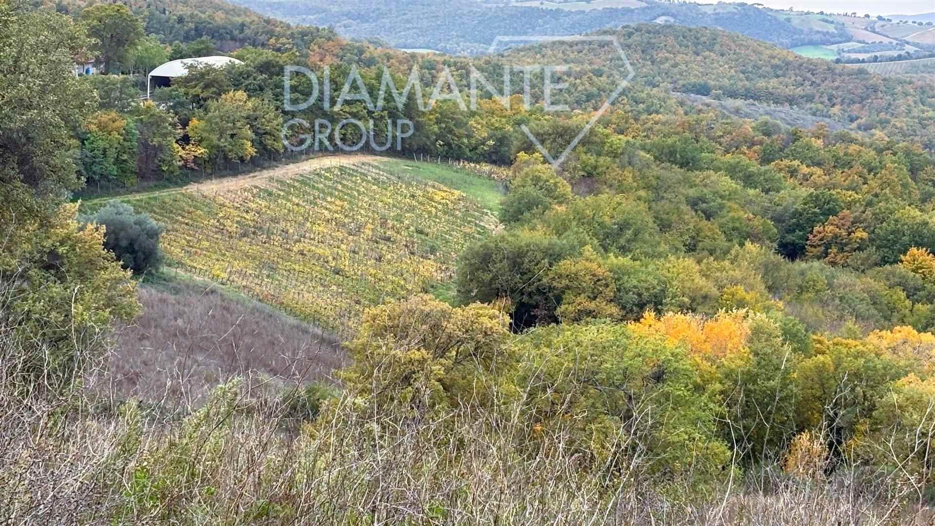 /api/file/public/262607/20254