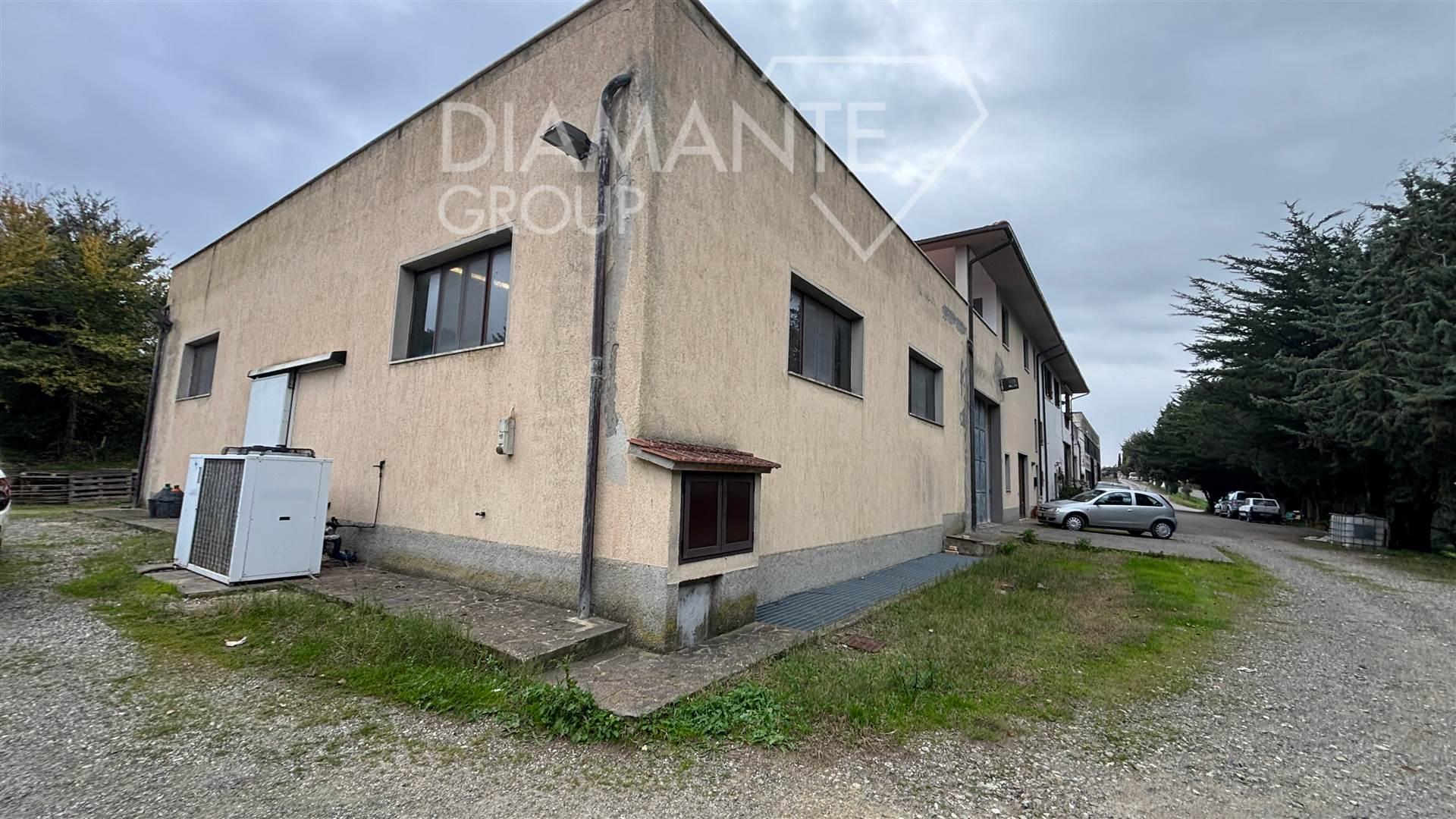 /api/file/public/262607/20255