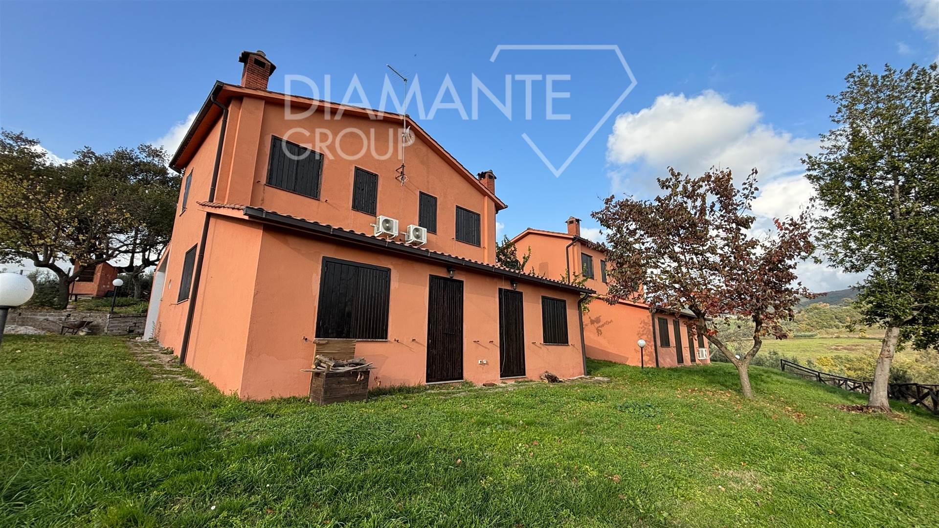 /api/file/public/262608/28970