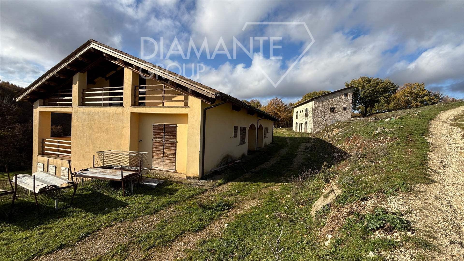 /api/file/public/262609/20259