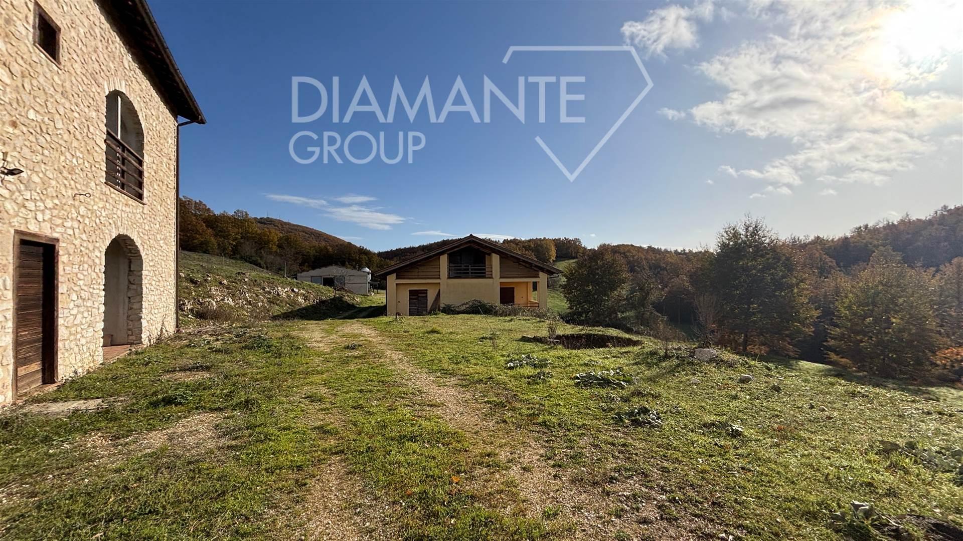 /api/file/public/262609/20260