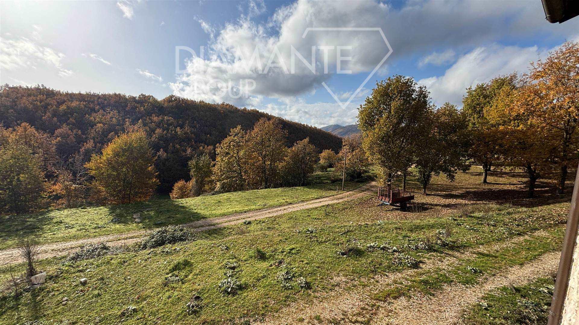 /api/file/public/262609/20261