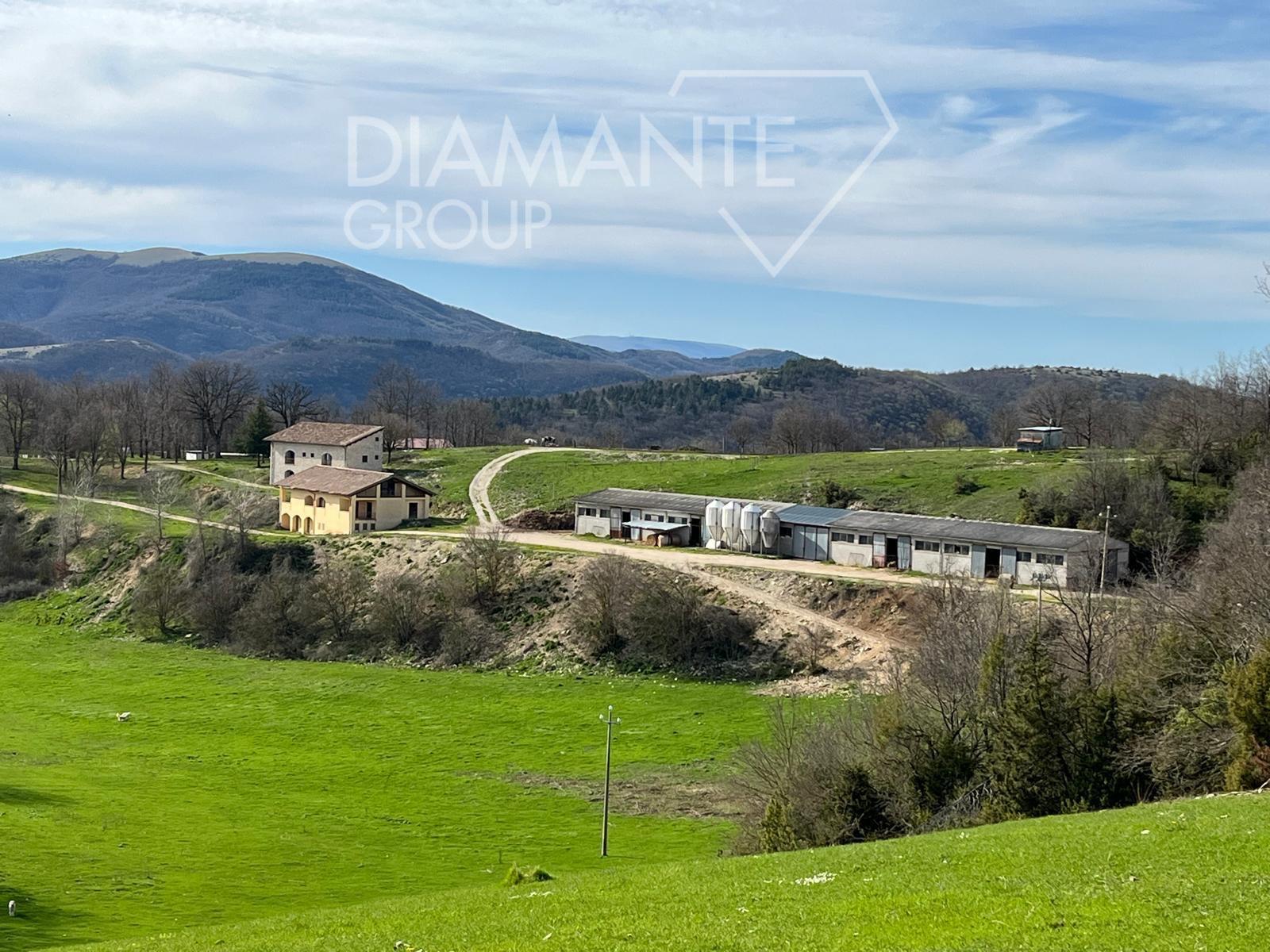 /api/file/public/262609/20746