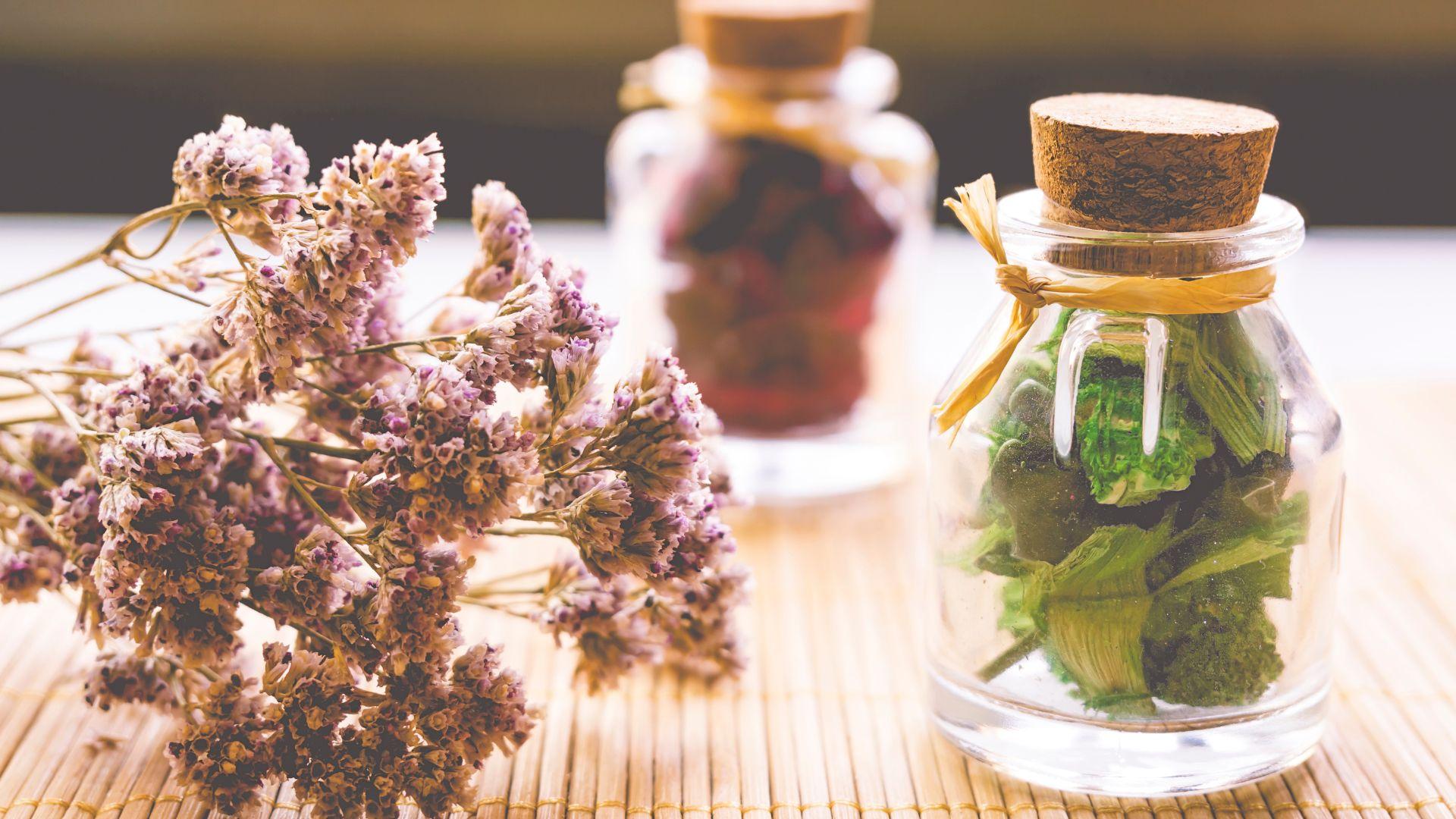 /api/file/public/262630/20302