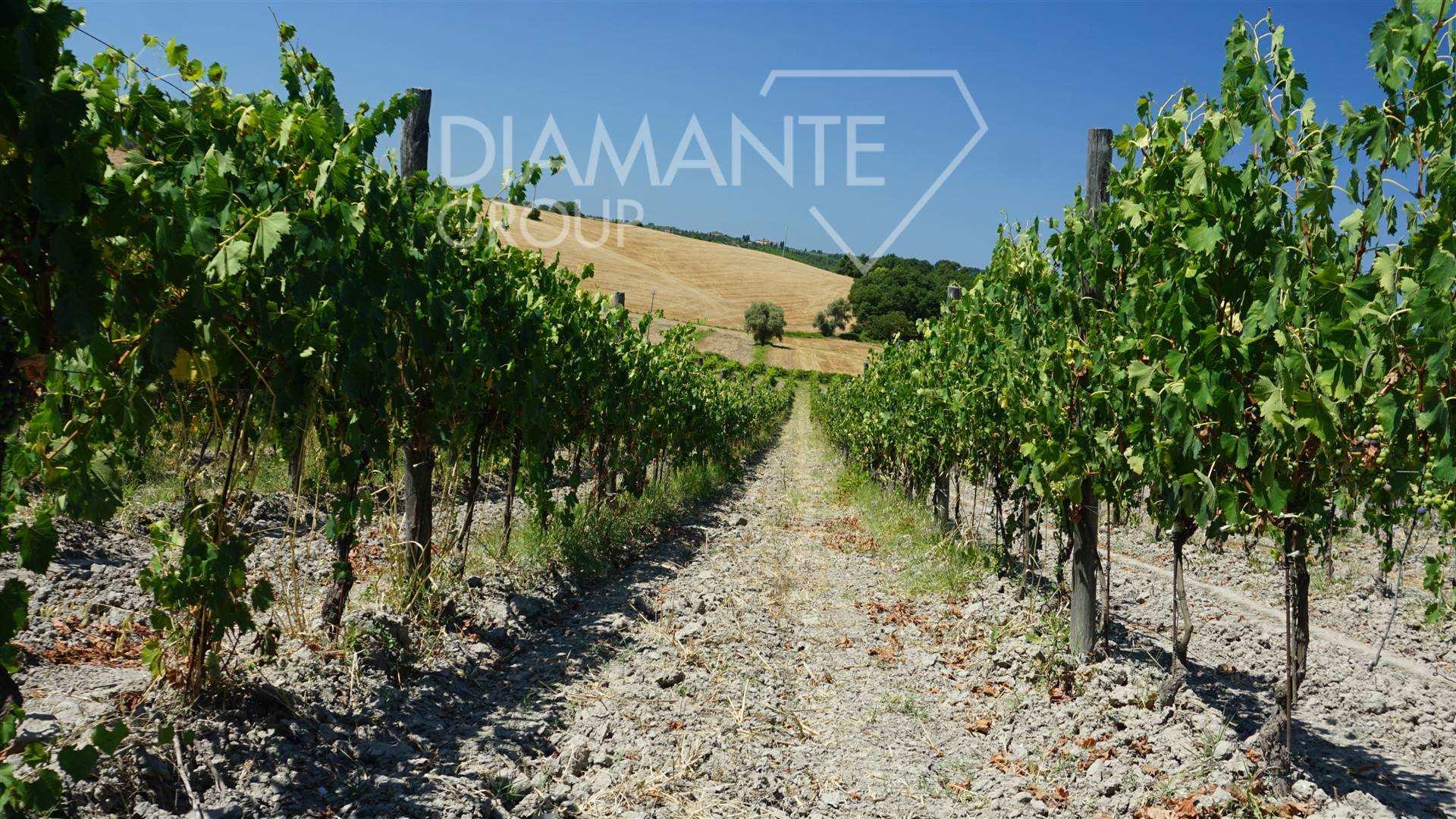 /api/file/public/262765/20575