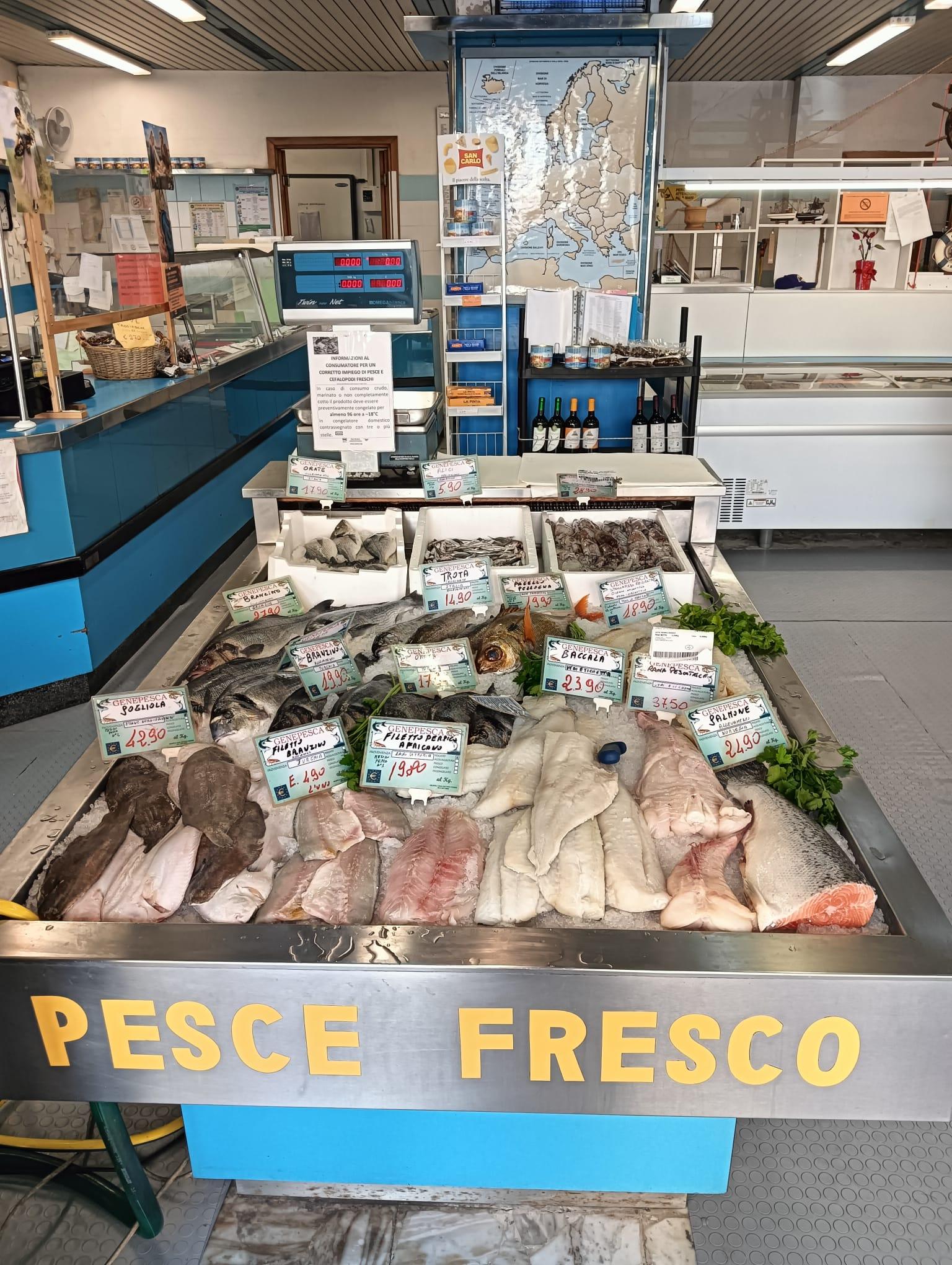 /api/file/public/262835/21087