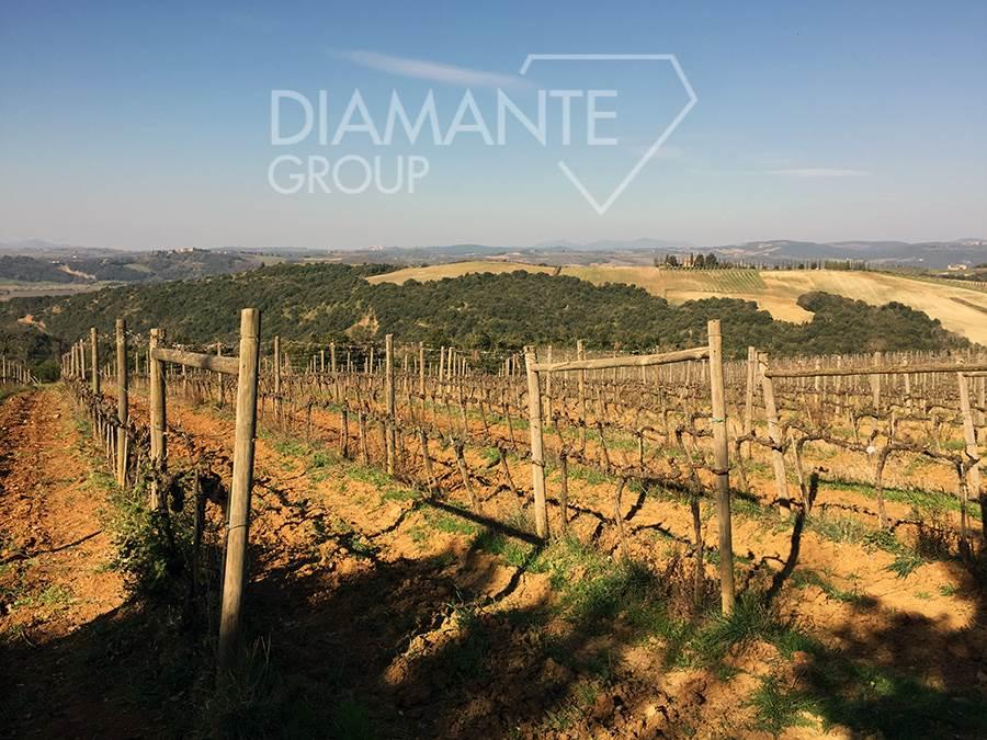 /api/file/public/262848/20678