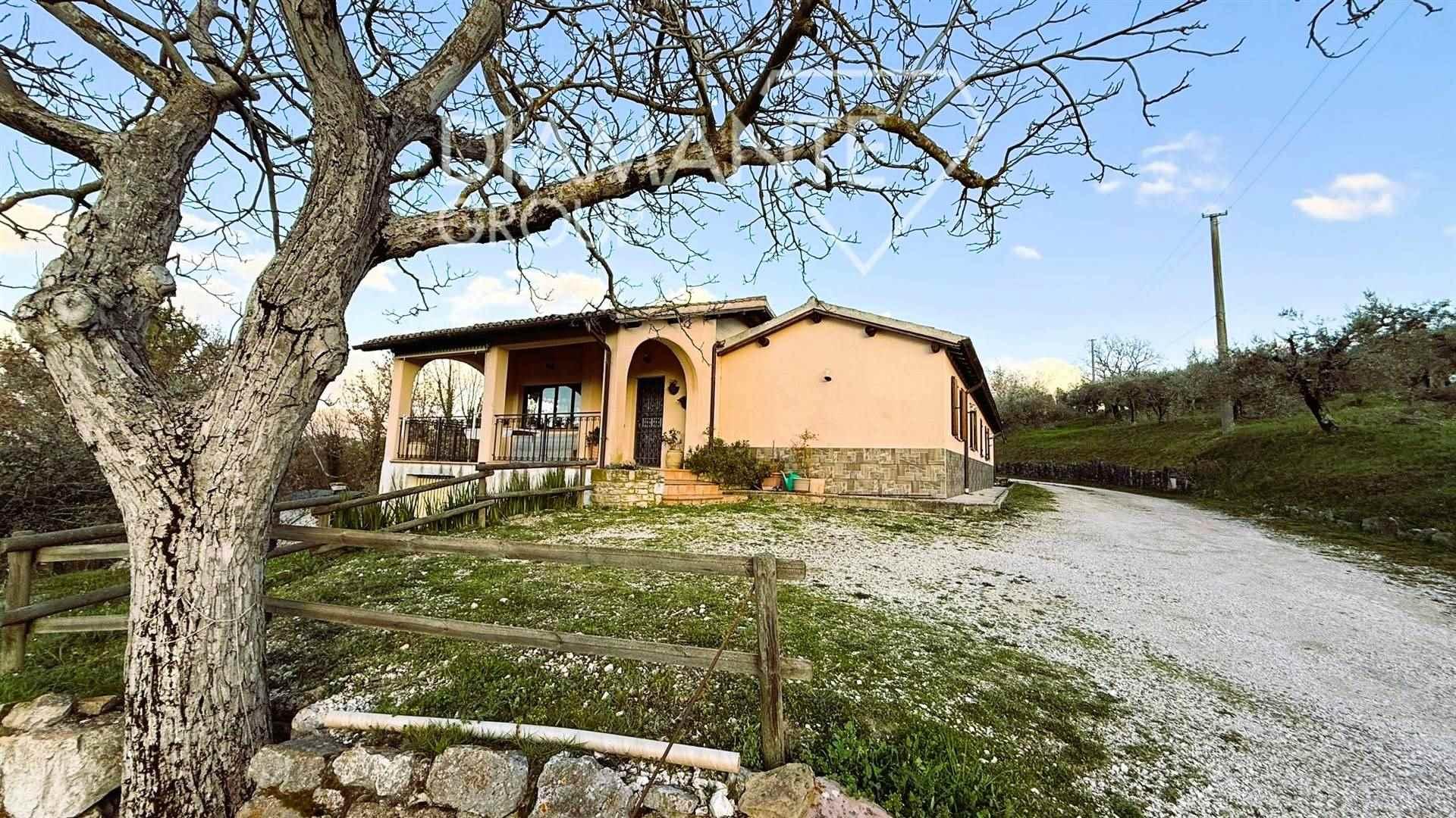 /api/file/public/262919/20804