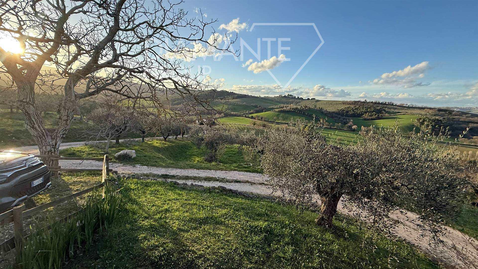 /api/file/public/262919/20805