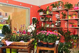 /api/file/public/263002/20902