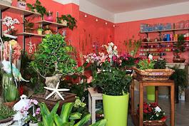 /api/file/public/263002/20905