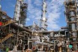 /api/file/public/263036/20997