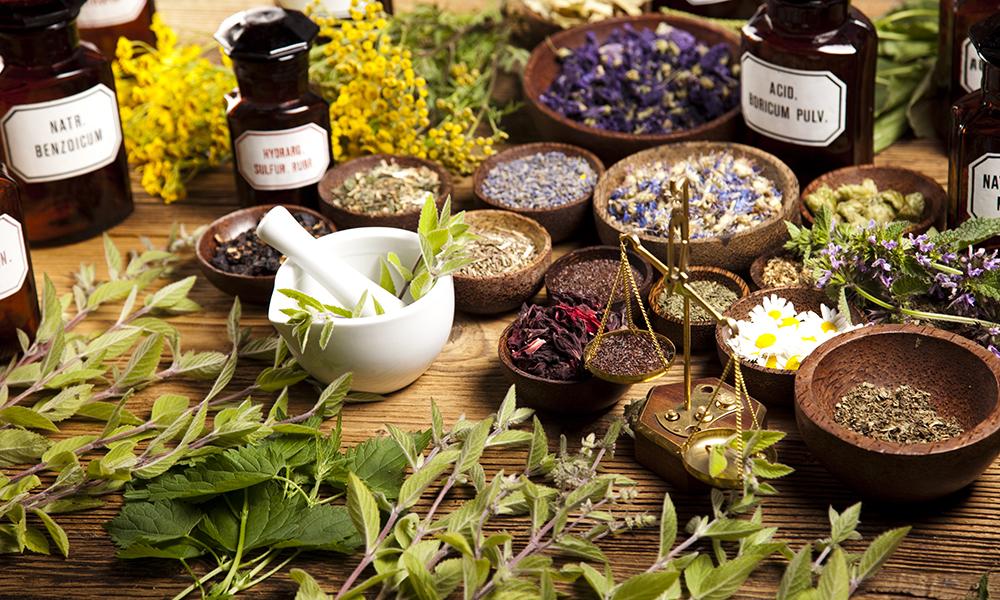 /api/file/public/263049/21032