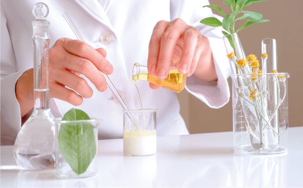 /api/file/public/263049/28061