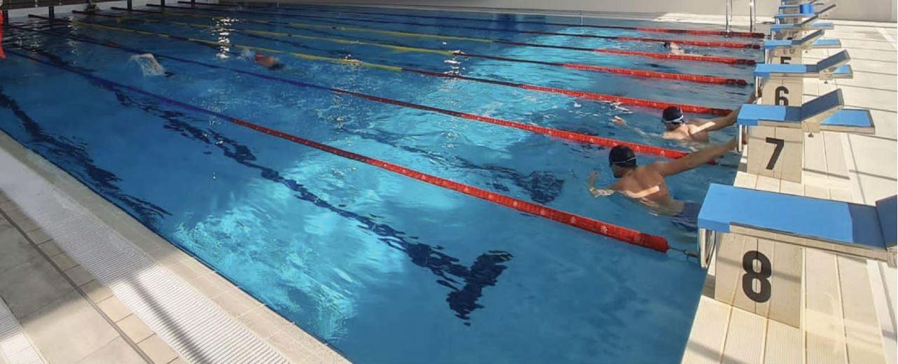 /api/file/public/263051/21046