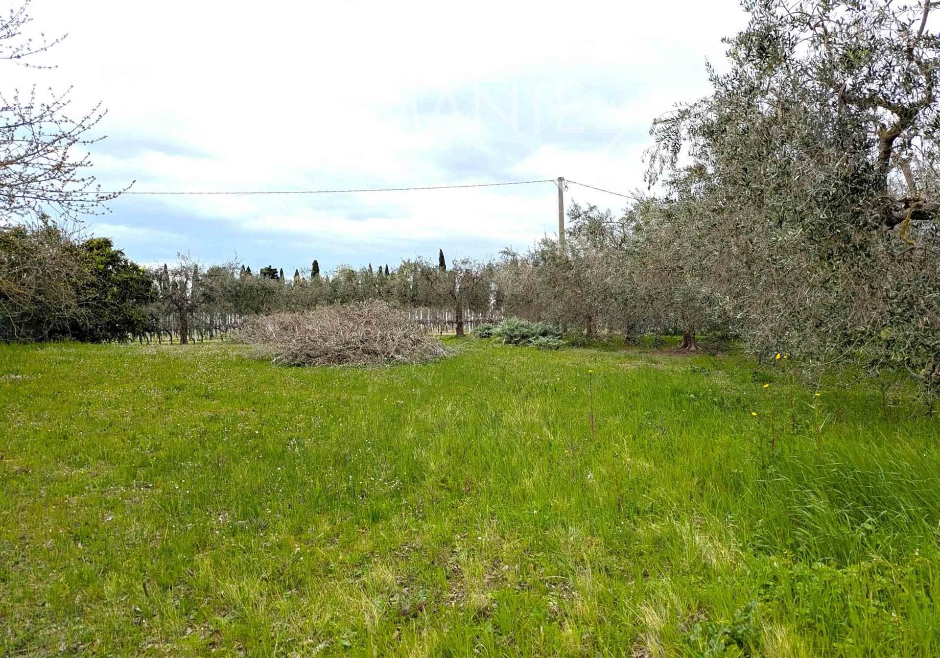 /api/file/public/263078/21195