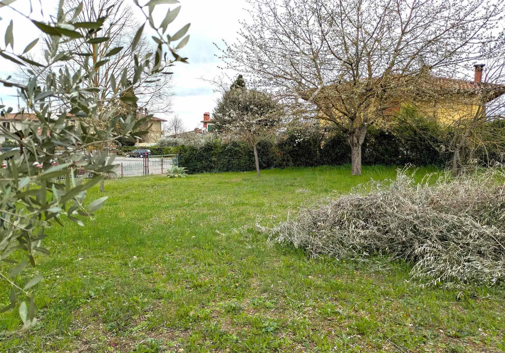 /api/file/public/263078/21196