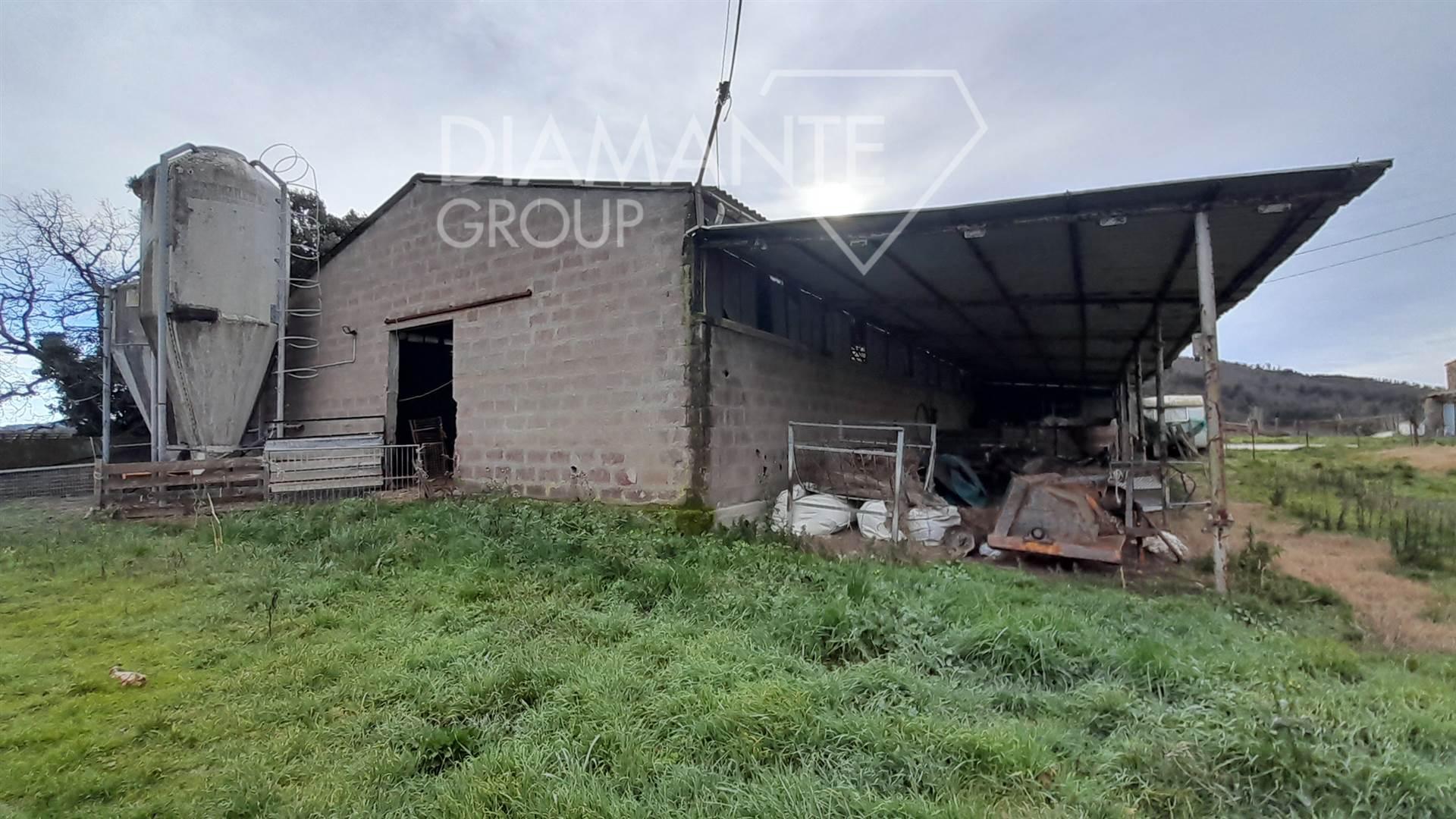 /api/file/public/263079/21197