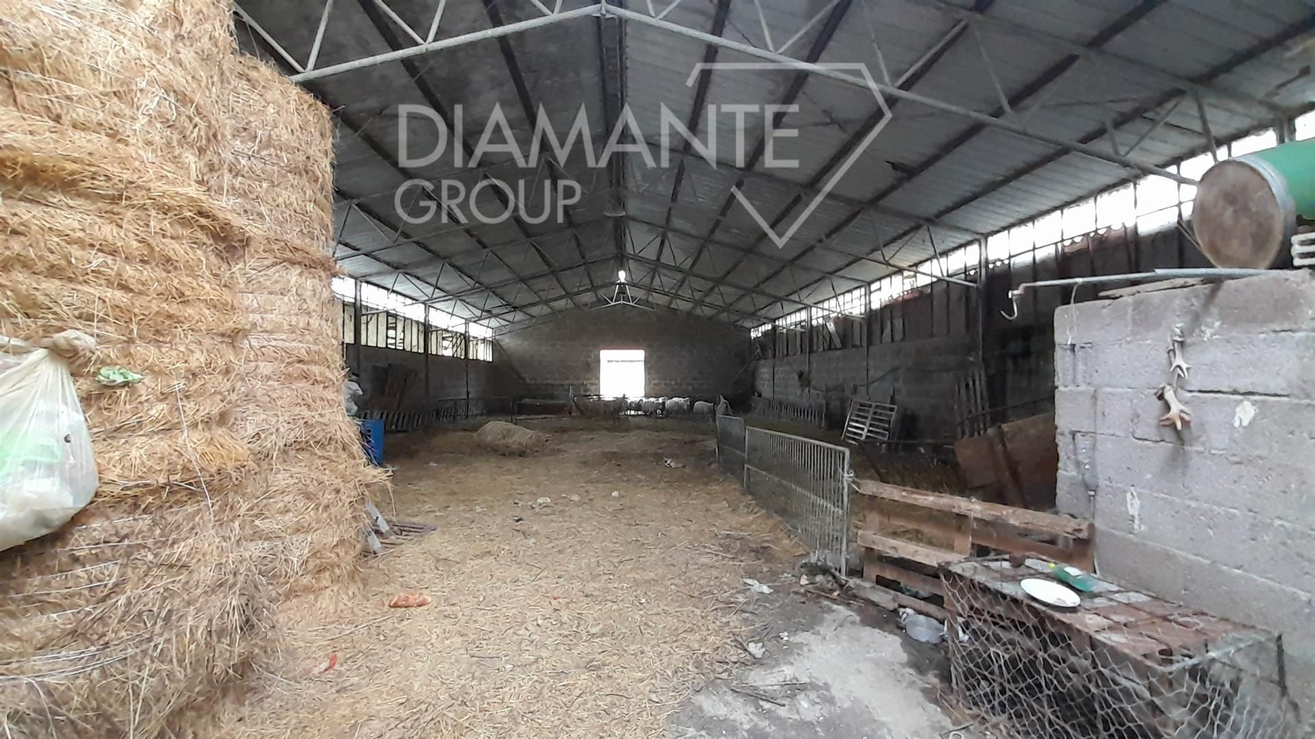 /api/file/public/263079/21199