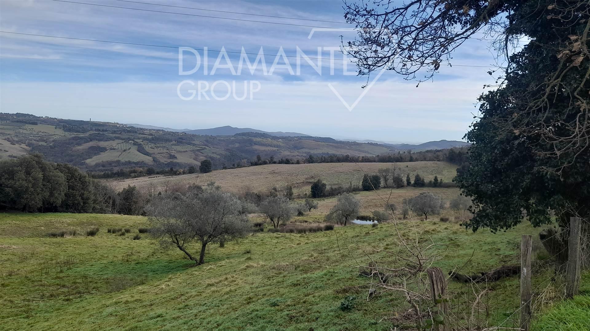 /api/file/public/263079/21200