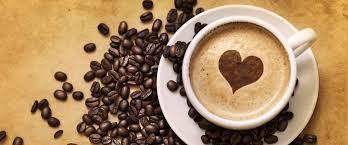 /api/file/public/263092/21227