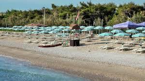 /api/file/public/263115/21472