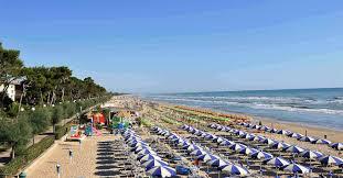 /api/file/public/263115/21473