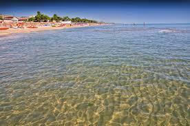 /api/file/public/263115/21478