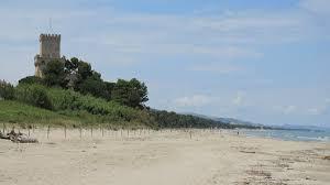 /api/file/public/263115/21479