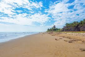 /api/file/public/263115/21480