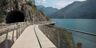 /api/file/public/263116/21487