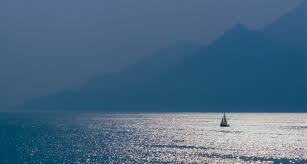 /api/file/public/263116/21488