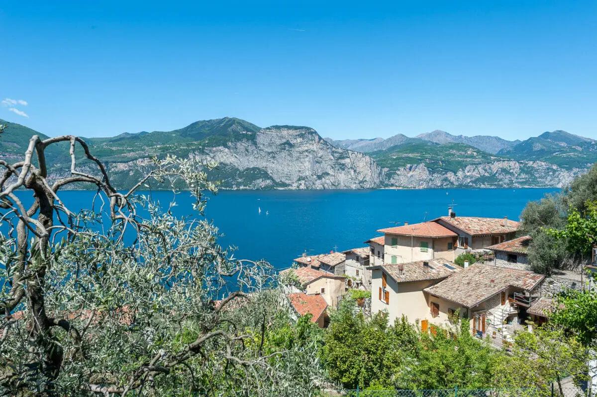 /api/file/public/263116/21490