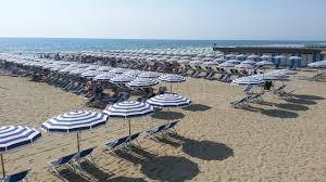 /api/file/public/263117/21491